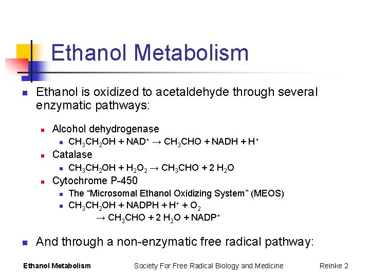 Ethanol Metabolism n Ethanol is oxidized to acetaldehyde through several enzymatic pathways: n Alcohol