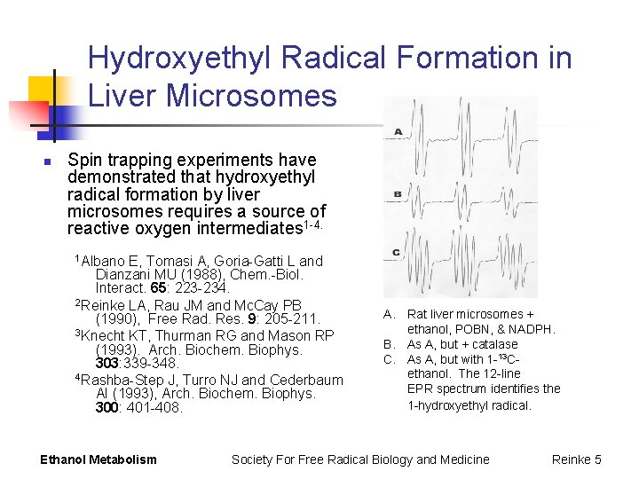 Hydroxyethyl Radical Formation in Liver Microsomes n Spin trapping experiments have demonstrated that hydroxyethyl