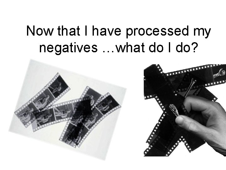 Now that I have processed my negatives …what do I do? 
