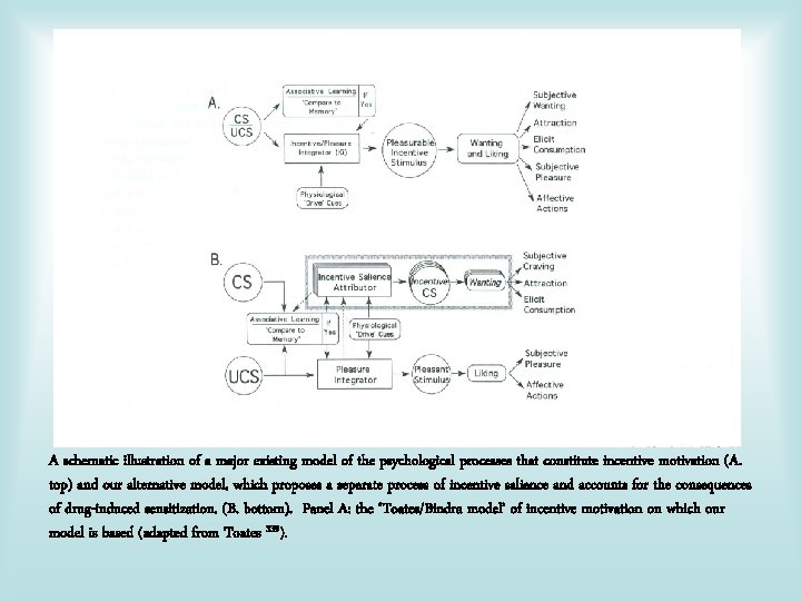 A schematic illustration of a major existing model of the psychological processes that constitute