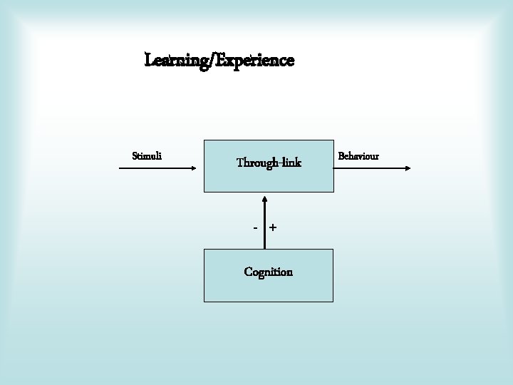 Learning/Experience Stimuli Through-link - + Cognition Behaviour 