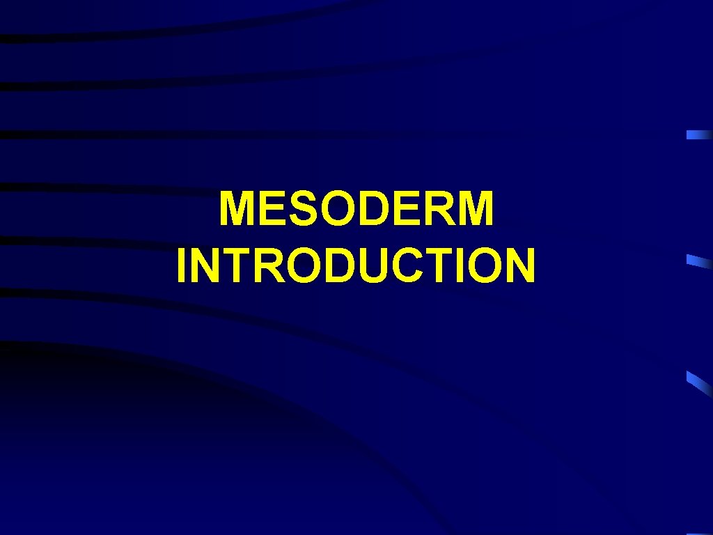 MESODERM INTRODUCTION 