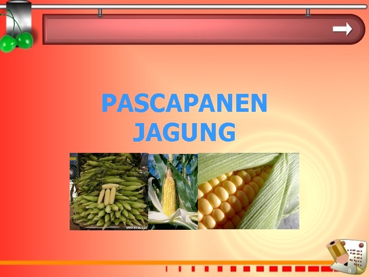 PASCAPANEN JAGUNG 8 