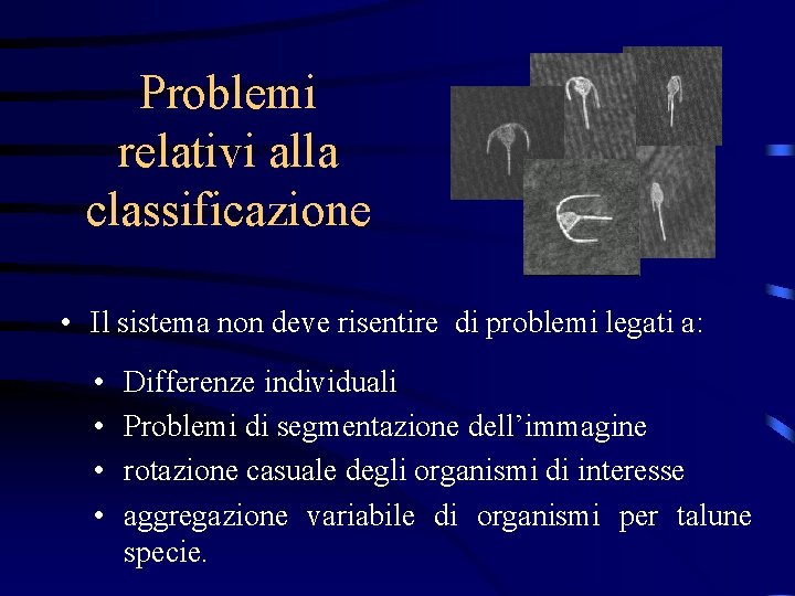 Problemi relativi alla classificazione • Il sistema non deve risentire di problemi legati a: