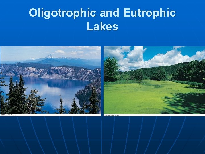 Oligotrophic and Eutrophic Lakes 