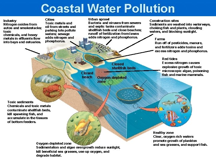 Coastal Water Pollution Industry Nitrogen oxides from autos and smokestacks; toxic chemicals, and heavy