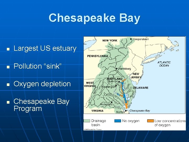 Chesapeake Bay n Largest US estuary n Pollution “sink” n Oxygen depletion n Chesapeake