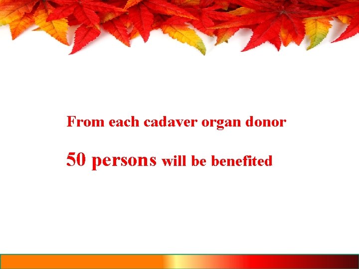 From each cadaver organ donor 50 persons will be benefited 