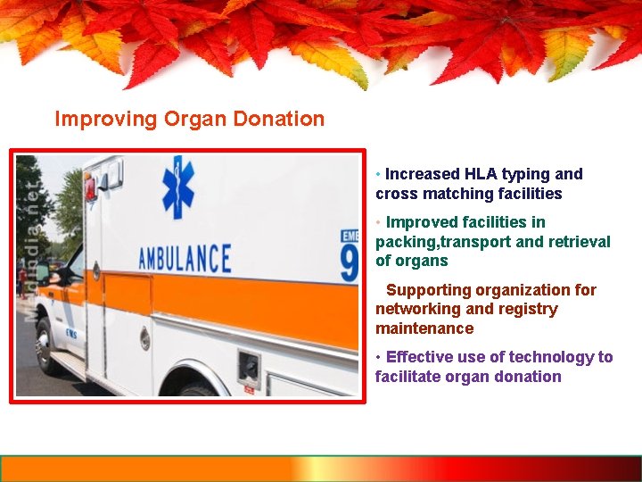 Improving Organ Donation • Increased HLA typing and cross matching facilities • Improved facilities