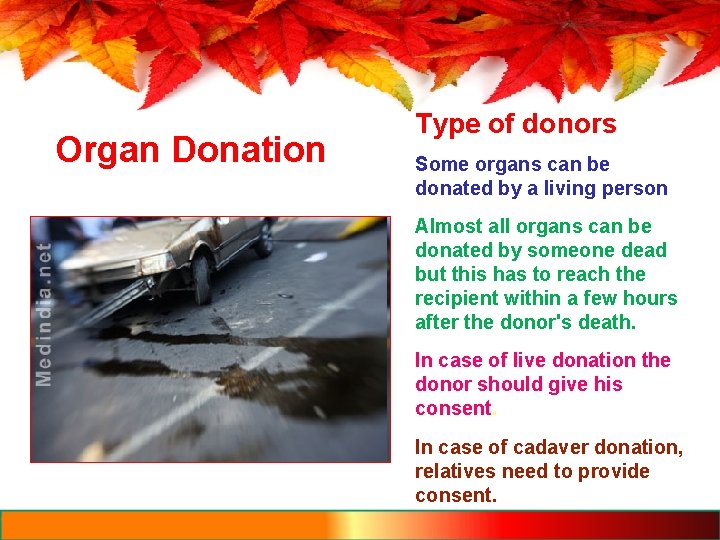 Organ Donation Type of donors Some organs can be donated by a living person