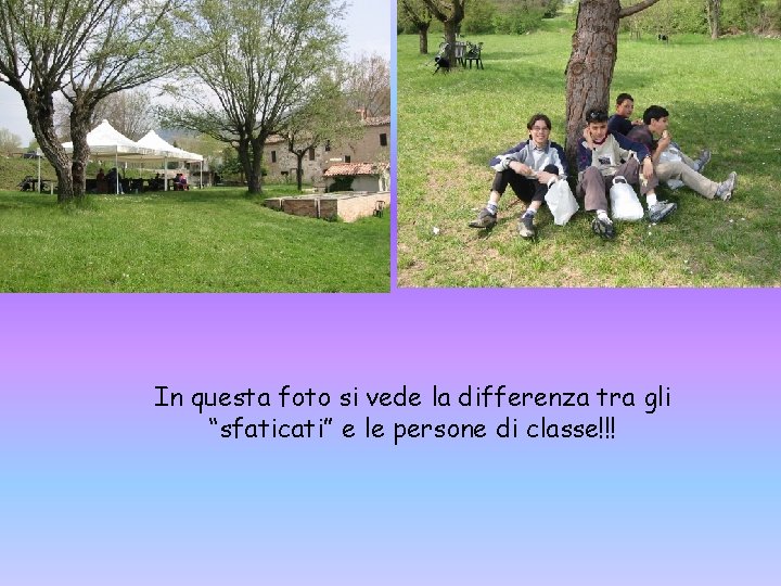 In questa foto si vede la differenza tra gli “sfaticati” e le persone di