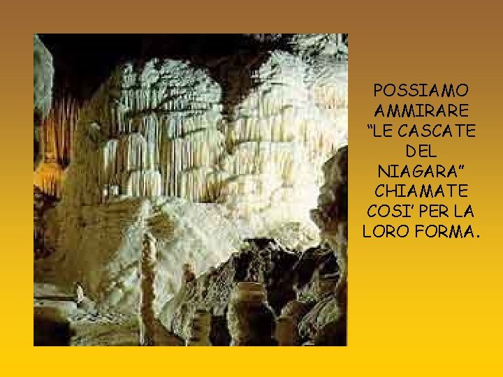 POSSIAMO AMMIRARE “LE CASCATE DEL NIAGARA” CHIAMATE COSI’ PER LA LORO FORMA. 