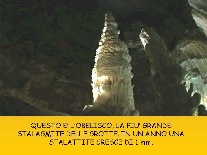 QUESTO E’ L’OBELISCO, LA PIU’ GRANDE STALAGMITE DELLE GROTTE. IN UN ANNO UNA STALATTITE