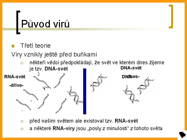 Původ virů Třetí teorie Viry vznikly ještě před buňkami n ¡ RNA-svět někteří vědci