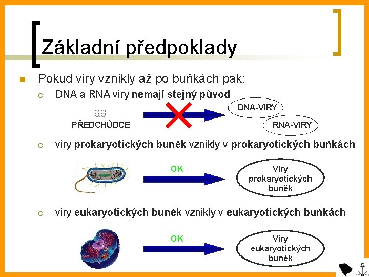 Základní předpoklady n Pokud viry vznikly až po buňkách pak: ¡ DNA a RNA