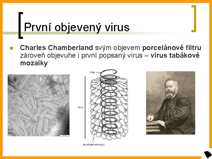 První objevený virus n Charles Chamberland svým objevem porcelánové filtru zároveň objevuhe i první