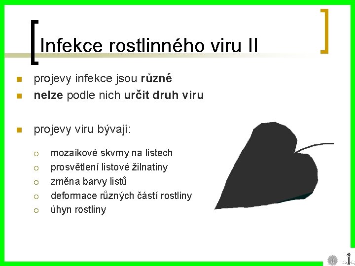 Infekce rostlinného viru II n projevy infekce jsou různé nelze podle nich určit druh