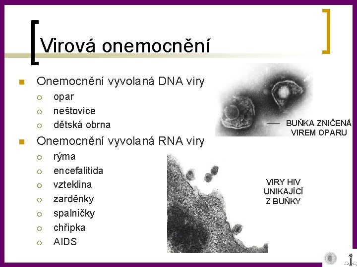 Virová onemocnění n Onemocnění vyvolaná DNA viry ¡ ¡ ¡ n opar neštovice dětská