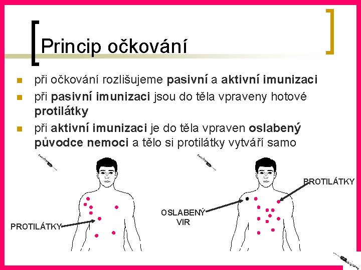 Princip očkování n n n při očkování rozlišujeme pasivní a aktivní imunizaci při pasivní