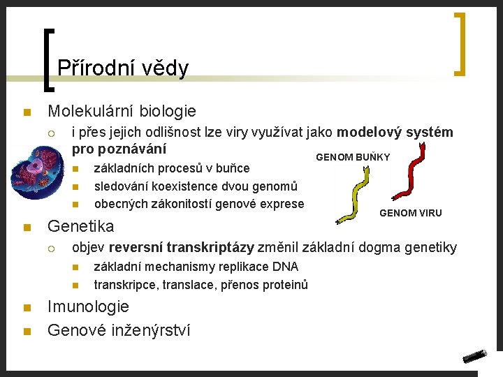 Přírodní vědy n Molekulární biologie ¡ i přes jejich odlišnost lze viry využívat jako