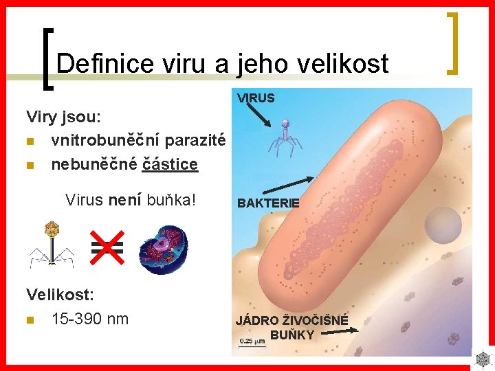 Definice viru a jeho velikost VIRUS Viry jsou: n vnitrobuněční parazité n nebuněčné částice