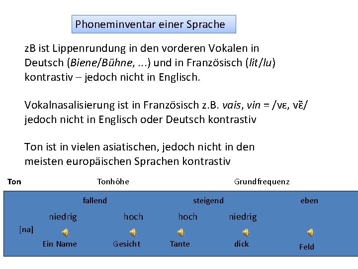 Phoneminventar einer Sprache z. B ist Lippenrundung in den vorderen Vokalen in Deutsch (Biene/Bühne,