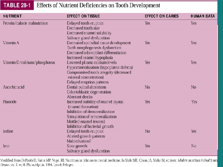 Effects of Nutrient Deficiencies on Tooth Development 