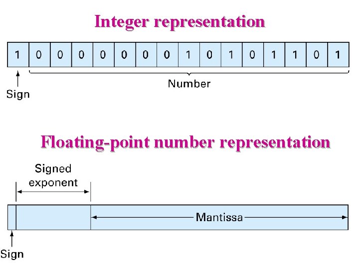 Integer representation Floating-point number representation 