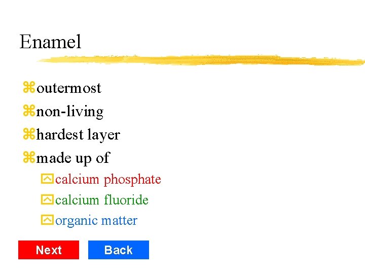 Enamel zoutermost znon-living zhardest layer zmade up of ycalcium phosphate ycalcium fluoride yorganic matter