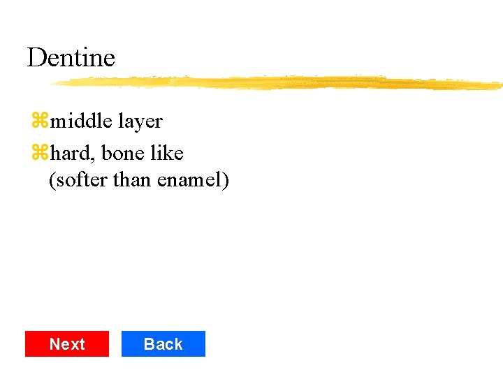 Dentine zmiddle layer zhard, bone like (softer than enamel) Next Back 