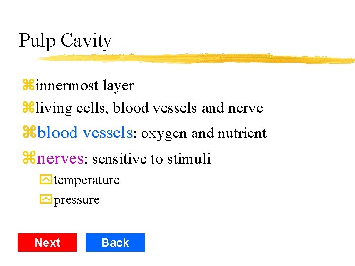 Pulp Cavity zinnermost layer zliving cells, blood vessels and nerve zblood vessels: oxygen and