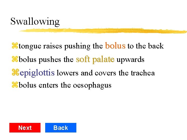 Swallowing ztongue raises pushing the bolus to the back zbolus pushes the soft palate