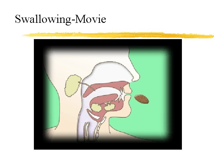 Swallowing-Movie 