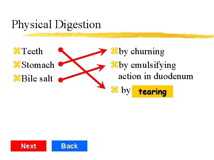 Physical Digestion z. Teeth z. Stomach z. Bile salt Next zby churning zby emulsifying