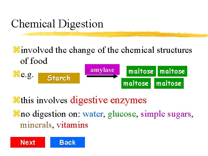 Chemical Digestion zinvolved the change of the chemical structures of food amylase maltose ze.