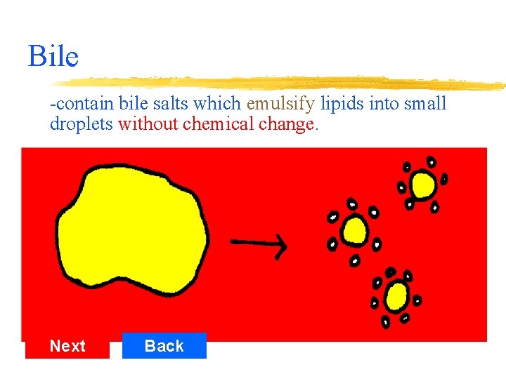 Bile -contain bile salts which emulsify lipids into small droplets without chemical change. Next