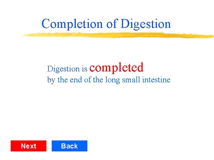 Completion of Digestion is completed by the end of the long small intestine Next