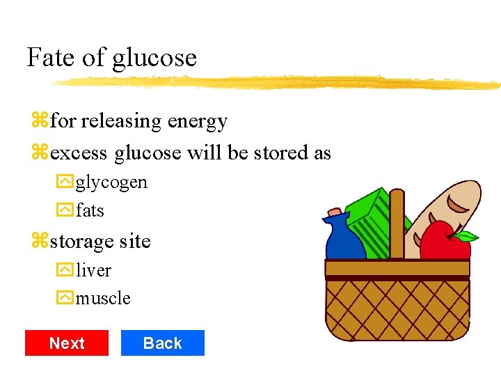 Fate of glucose zfor releasing energy zexcess glucose will be stored as yglycogen yfats