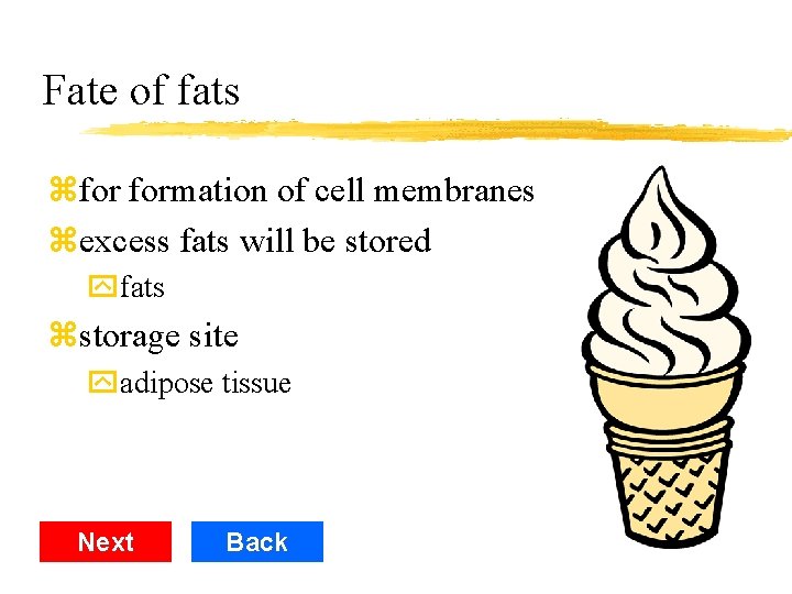 Fate of fats zfor formation of cell membranes zexcess fats will be stored yfats