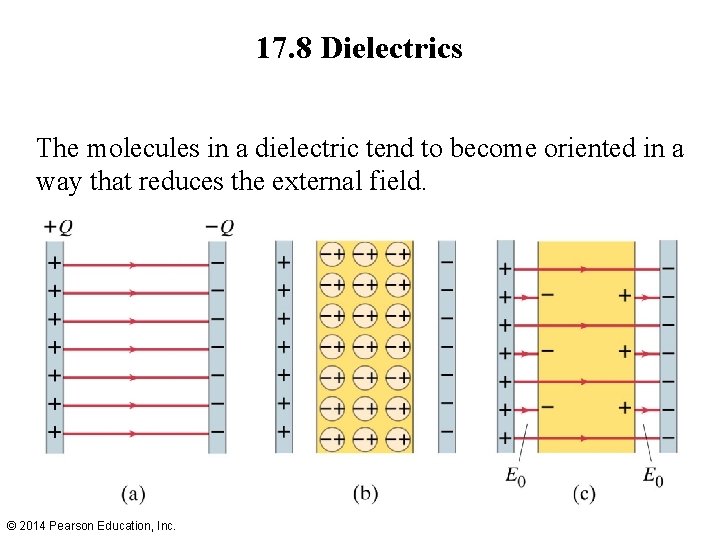 17. 8 Dielectrics The molecules in a dielectric tend to become oriented in a