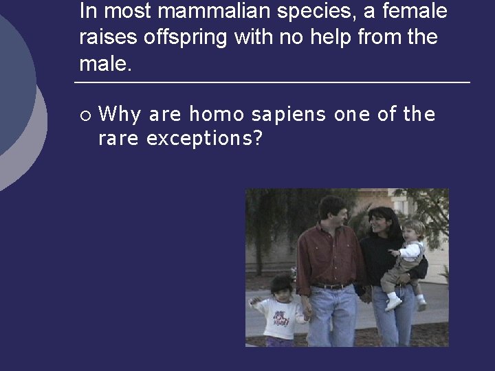 In most mammalian species, a female raises offspring with no help from the male.