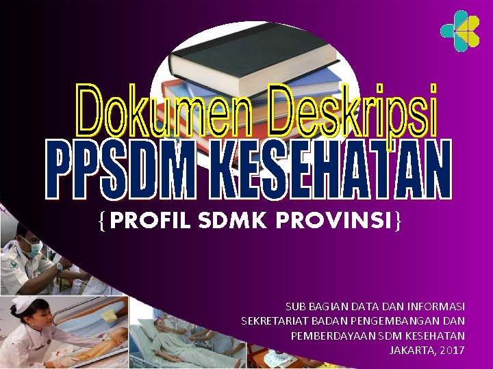 {PROFIL SDMK PROVINSI} SUB BAGIAN DATA DAN INFORMASI SEKRETARIAT BADAN PENGEMBANGAN DAN PEMBERDAYAAN SDM