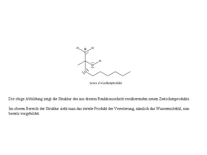 Die obige Abbildung zeigt die Struktur des aus diesem Reaktionsschritt resultierenden neuen Zwischenprodukts. Im