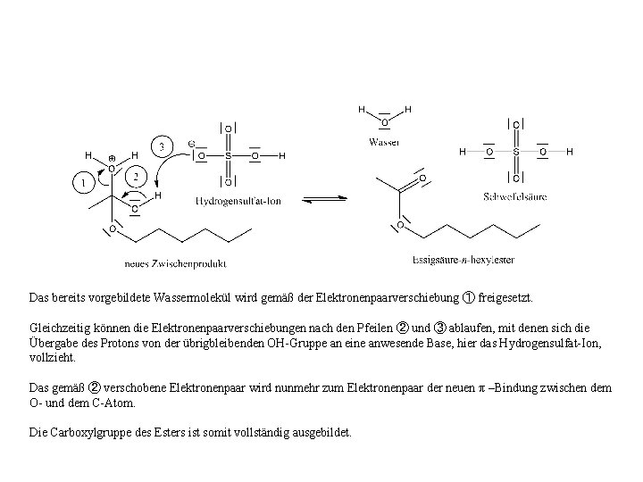 Das bereits vorgebildete Wassermolekül wird gemäß der Elektronenpaarverschiebung ① freigesetzt. Gleichzeitig können die Elektronenpaarverschiebungen
