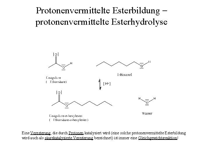 Protonenvermittelte Esterbildung – protonenvermittelte Esterhydrolyse [ H+ ] Eine Veresterung, die durch Protonen katalysiert