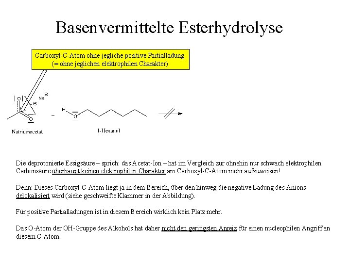 Basenvermittelte Esterhydrolyse Carboxyl-C-Atom ohne jegliche positive Partialladung (= ohne jeglichen elektrophilen Charakter) Die deprotonierte