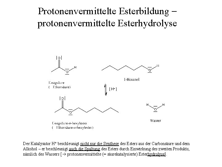 Protonenvermittelte Esterbildung – protonenvermittelte Esterhydrolyse [ H+ ] Der Katalysator H+ beschleunigt nicht nur