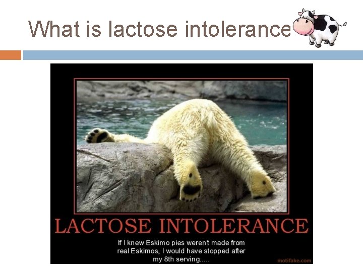 What is lactose intolerance? 