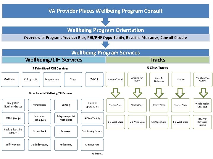 VA Provider Places Wellbeing Program Consult Wellbeing Program Orientation Overview of Program, Provider Bios,