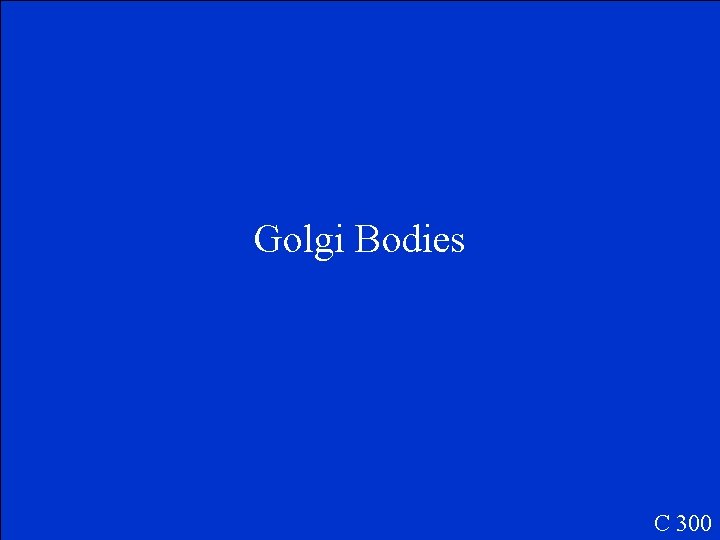 Golgi Bodies C 300 